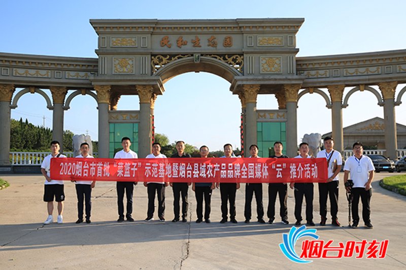 如何打造一个吸引人的官方网站？问题提出
